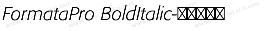 FormataPro BoldItalic字体转换